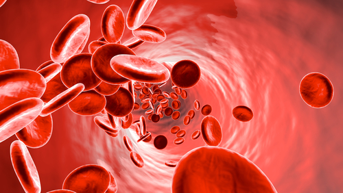 Flowing,Erythrocyte,Cells,In,A,Vein,Or,Artery.,3d,Rendering.